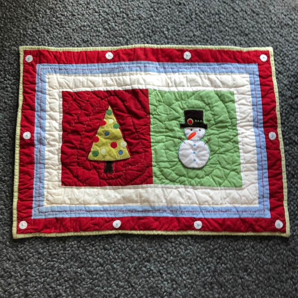 Pottery Barn Kids Quilted Holiday Sham Standard Pillow Case